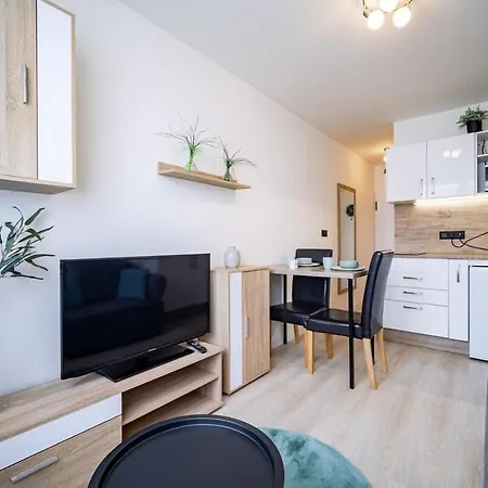 Modern & Cozy *