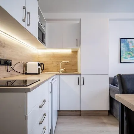 Modern & Cozy Apartment
