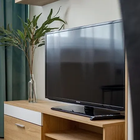 Modern & Cozy